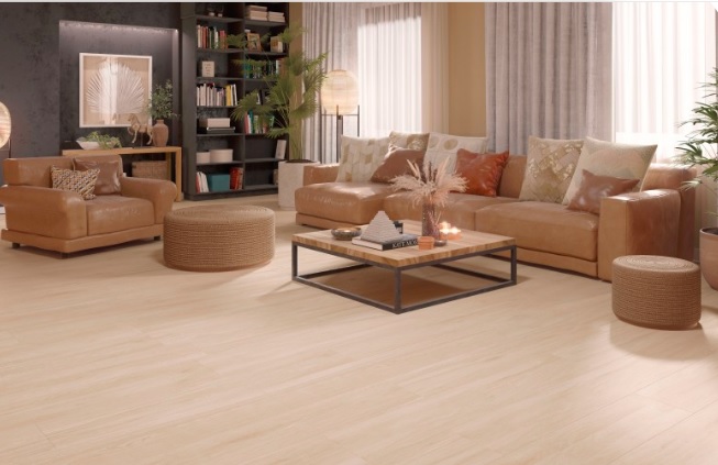 Nook Arce , Noliktavā: 160 m2