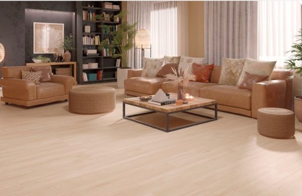 Nook Arce , Noliktavā: 160 m2